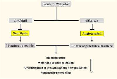 The history and mystery of sacubitril/valsartan: From clinical trial to the real world